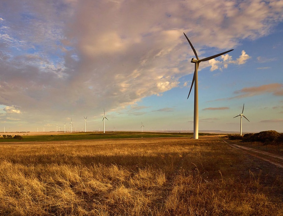 Wind turbines on a grassy plain under a partly cloudy sky with warm sunlight.