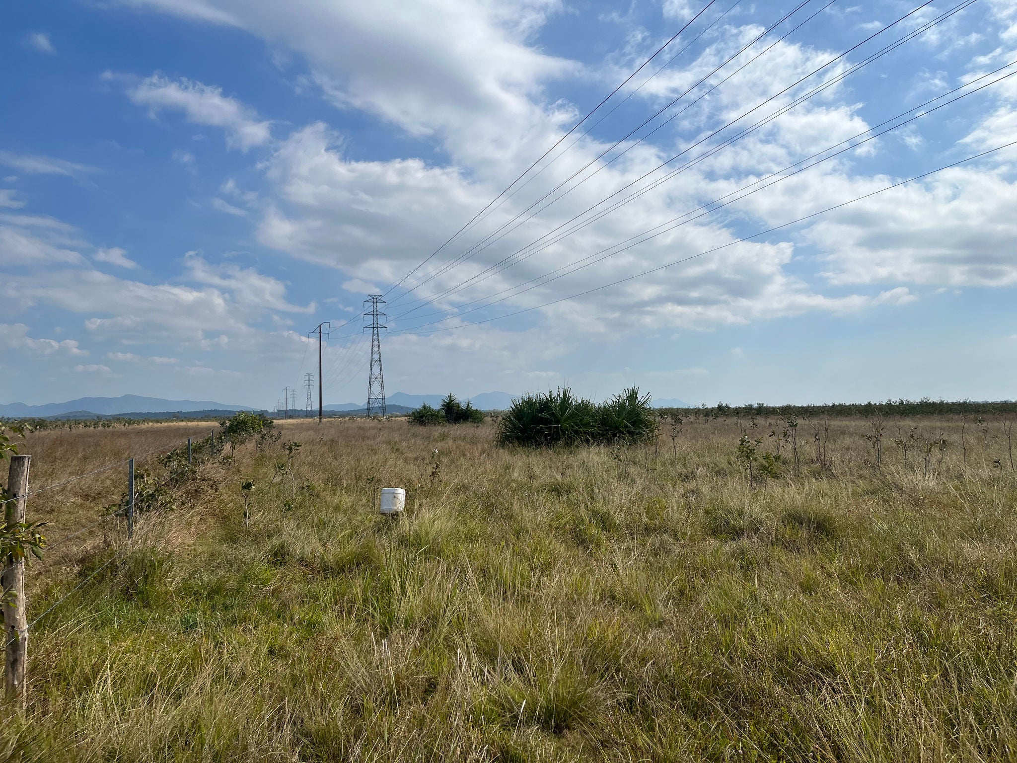 A field with a powerline.