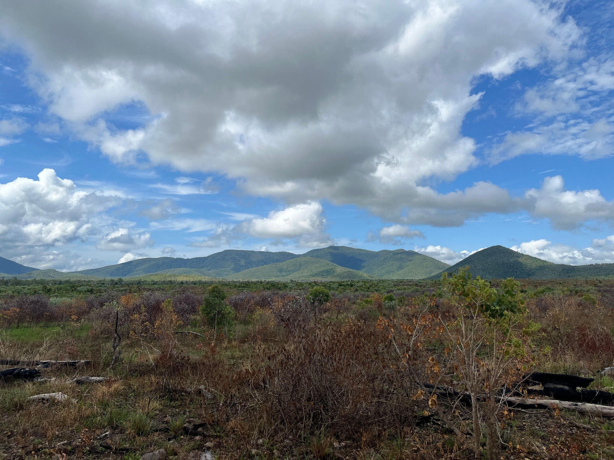 Trees, hills, and a cloudy sky.