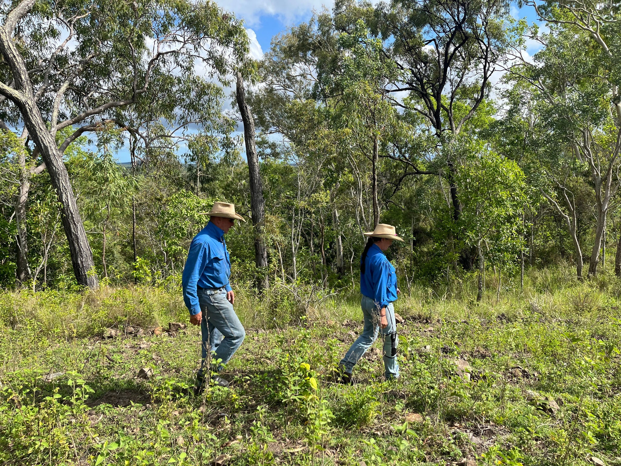 A man and woman in blue tops, jeans and wide-brimmed hats walk through a green, forest clearing.